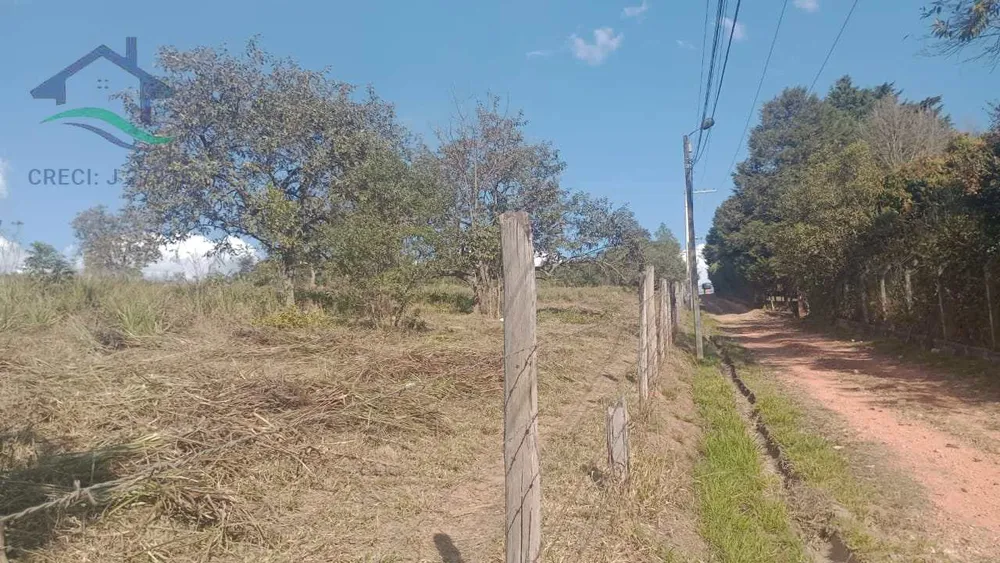 Terreno, 3 hectares - Foto 3