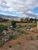 Terreno, 5 hectares - Foto 3