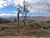 Terreno, 5 hectares - Foto 2