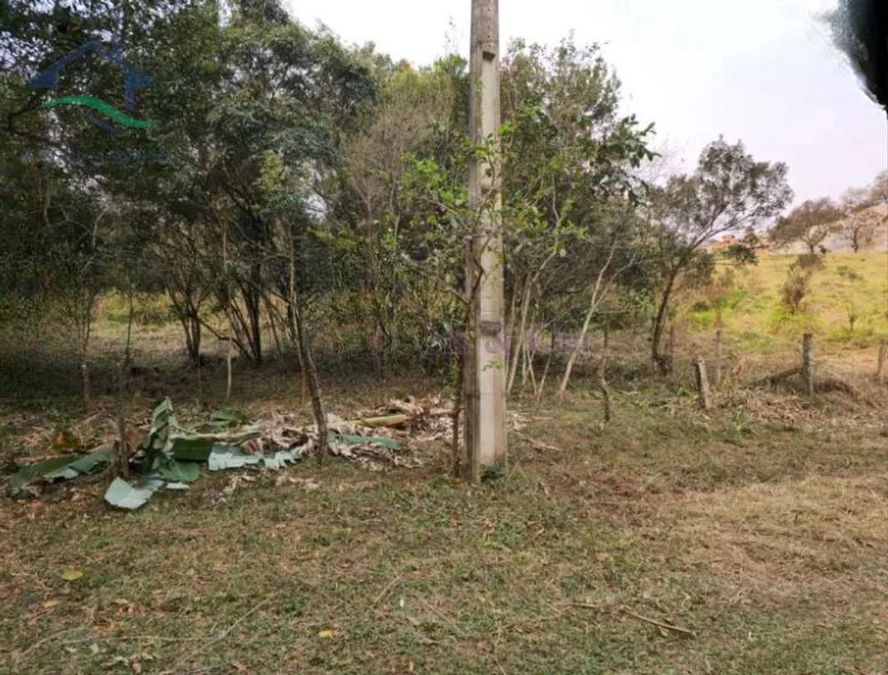 Terreno, 1000 m² - Foto 4