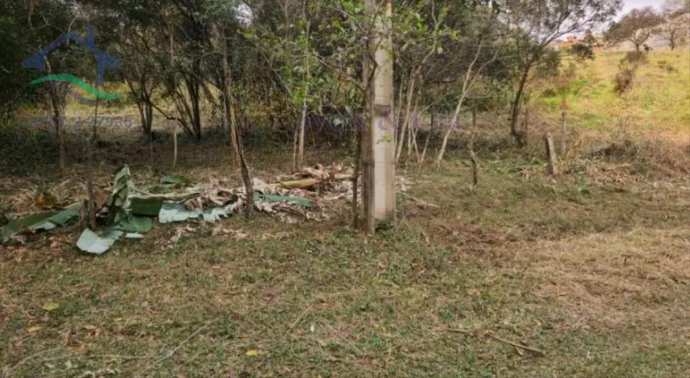 Terreno, 1000 m² - Foto 3
