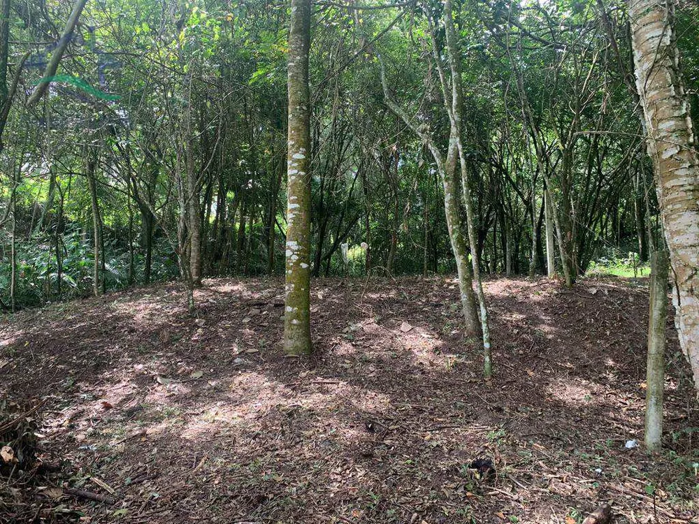 Terreno, 615 m² - Foto 1