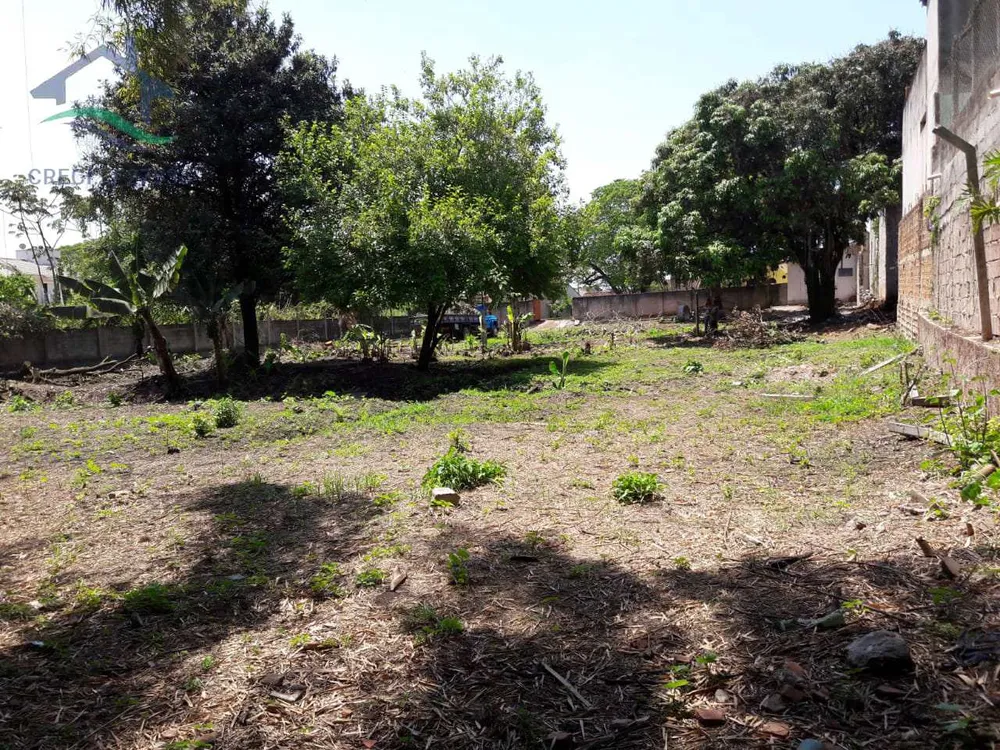 Chácara, 2 quartos, 3300 m² - Foto 4