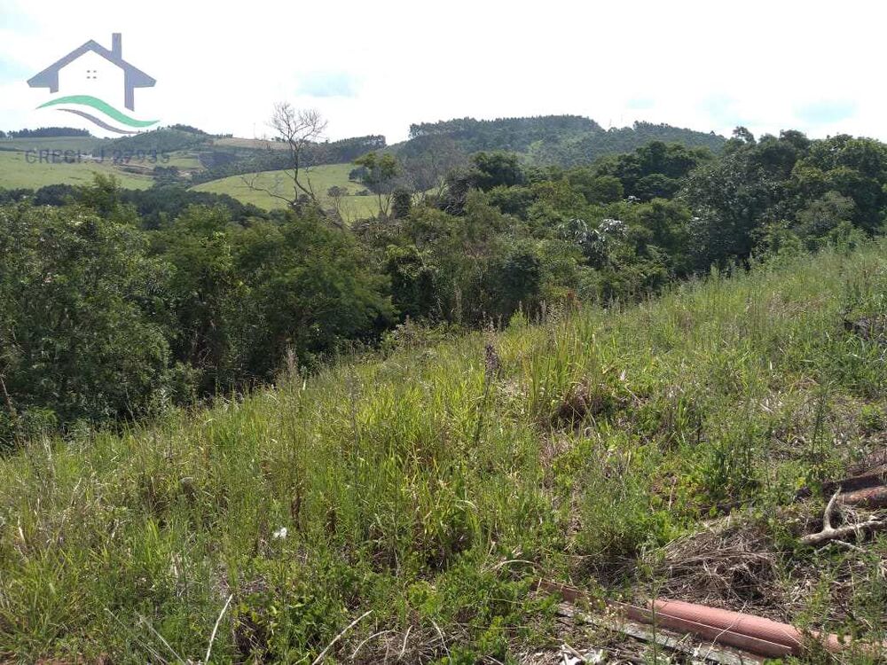 Terreno, 8 hectares - Foto 5