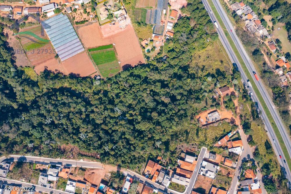 Terreno, 8 hectares - Foto 3