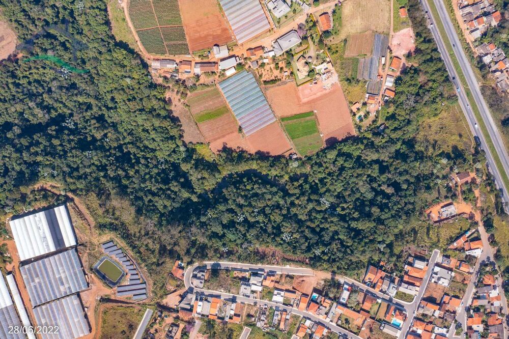 Terreno, 8 hectares - Foto 11