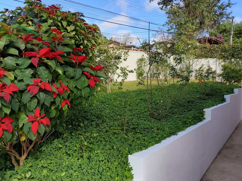 Chácara, 5 quartos, 1000 m² - Foto 12