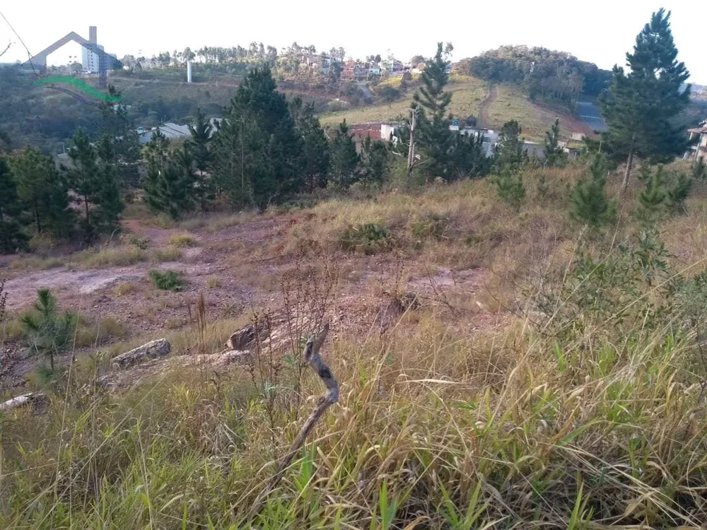 Terreno, 499 m² - Foto 4