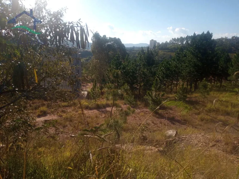 Terreno, 499 m² - Foto 8