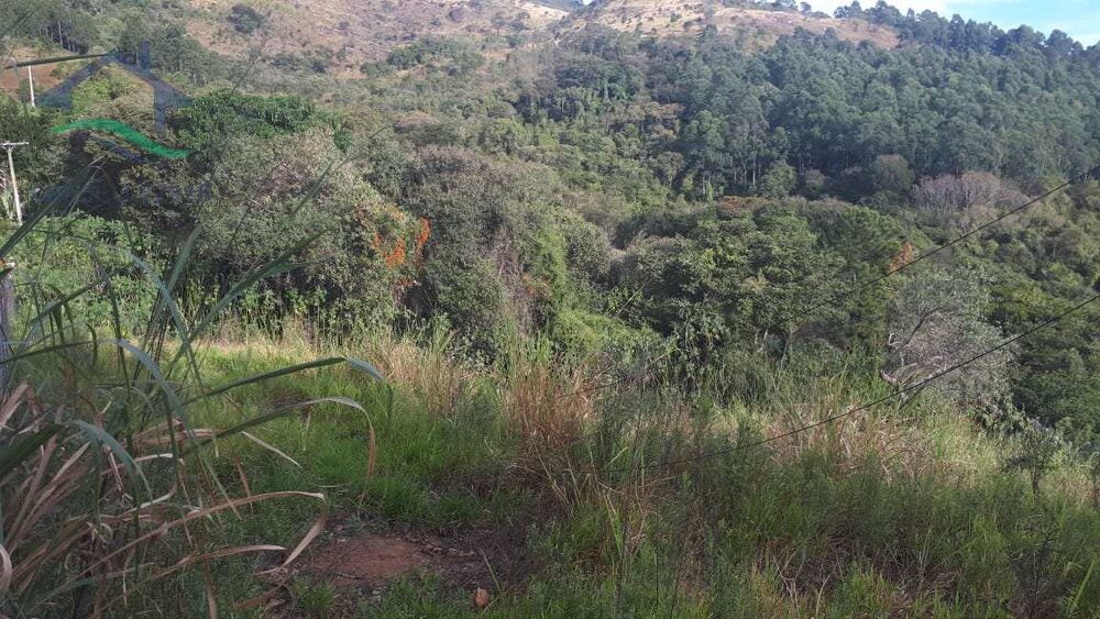 Terreno, 2 hectares - Foto 1