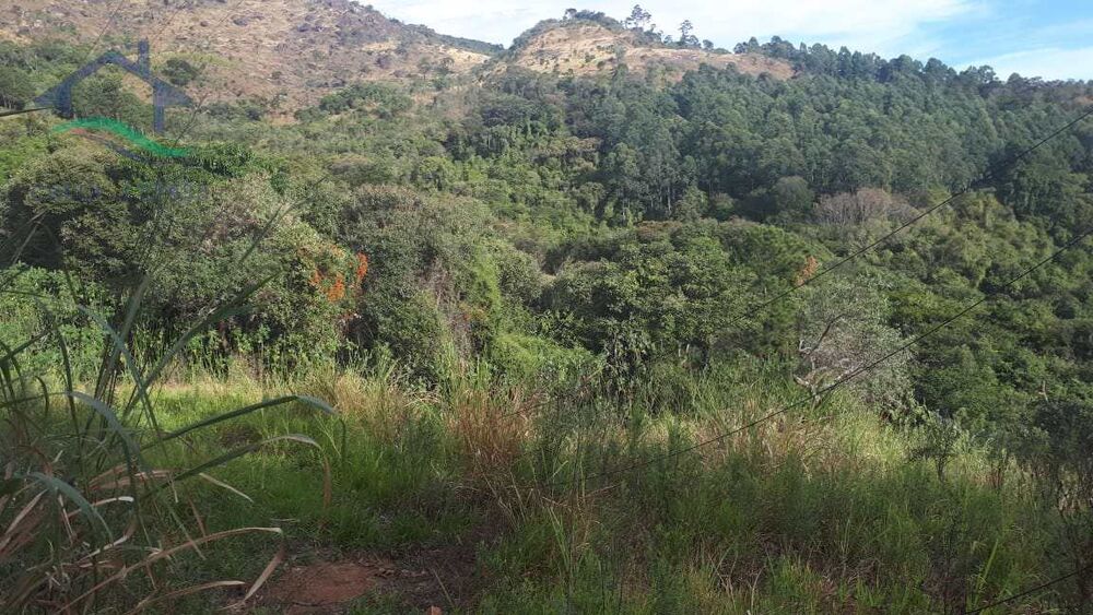 Terreno, 2 hectares - Foto 3