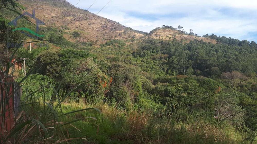 Terreno, 2 hectares - Foto 4