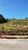 Terreno, 1000 m² - Foto 3