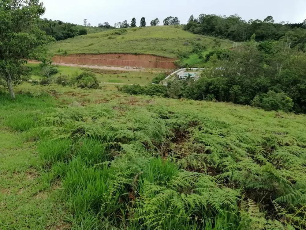 Terreno à venda, 5000m² - Foto 2