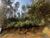 Terreno, 1050 m² - Foto 1