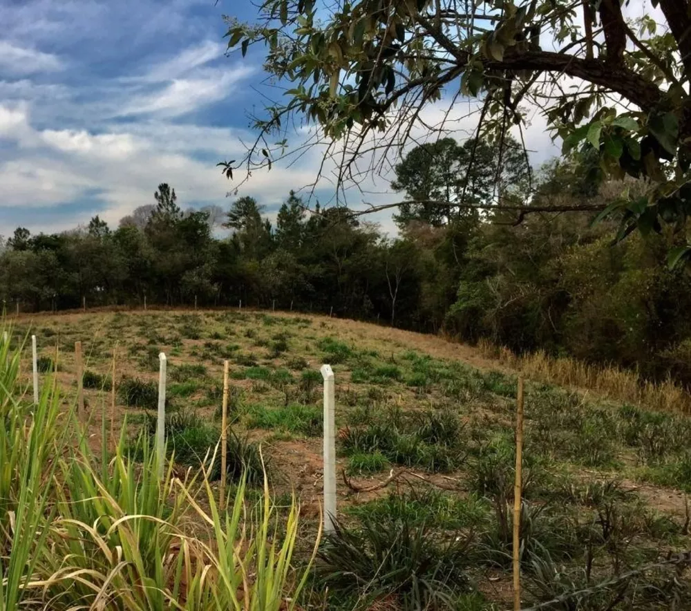 Terreno à venda, 5600m² - Foto 2