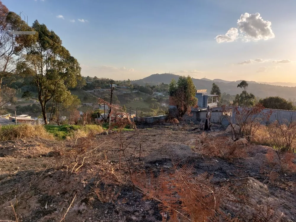 Terreno à venda, 250m² - Foto 7