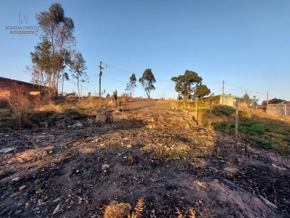 Terreno à venda, 250m² - Foto 1