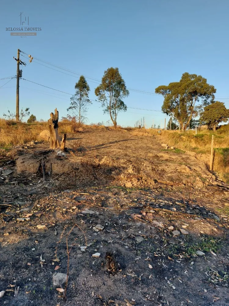 Terreno à venda, 250m² - Foto 5