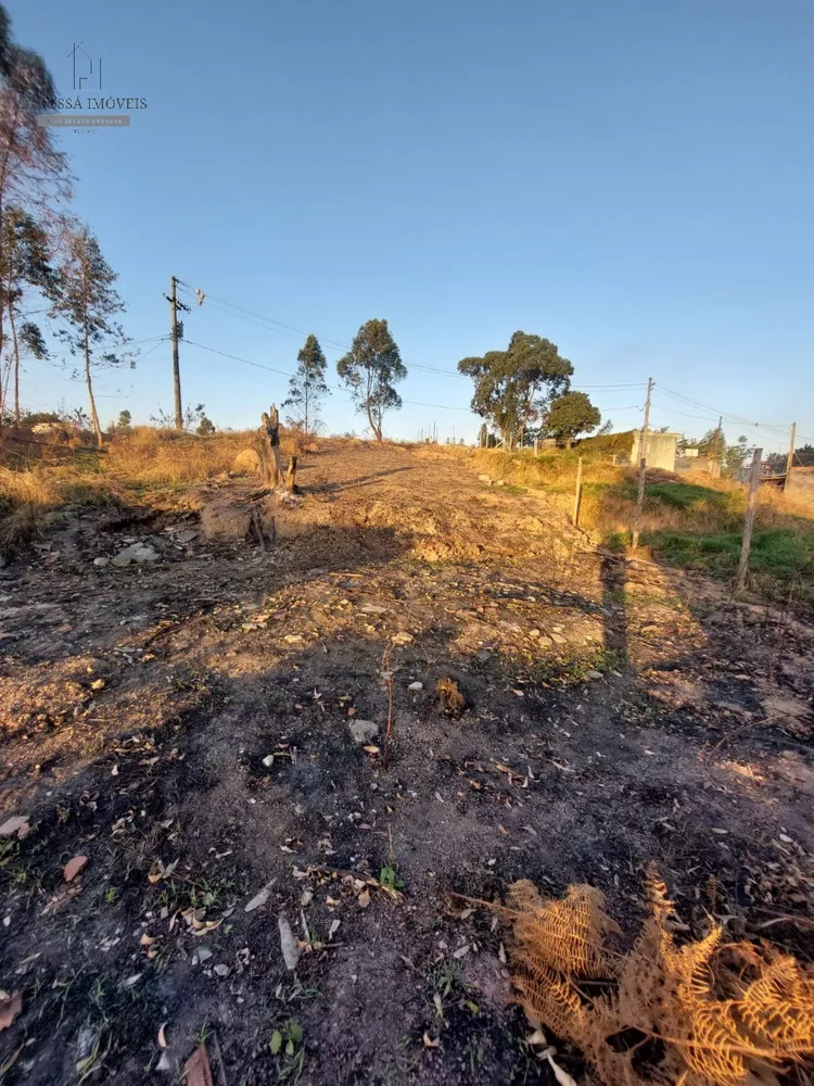 Terreno à venda, 250m² - Foto 6