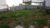 Terreno, 250 m² - Foto 2
