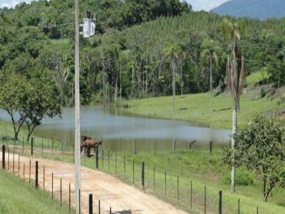Fazenda, 166 m² - Foto 14
