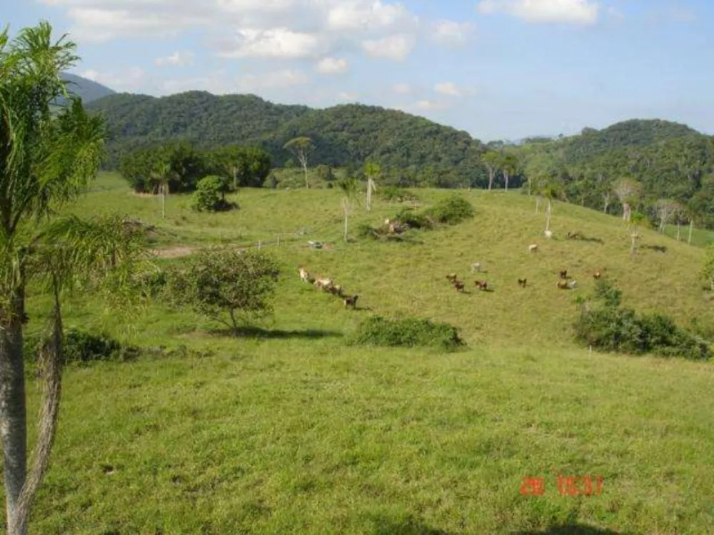 Fazenda, 166 m² - Foto 5