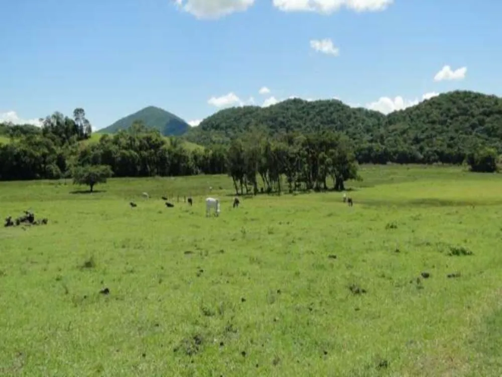 Fazenda, 166 m² - Foto 18