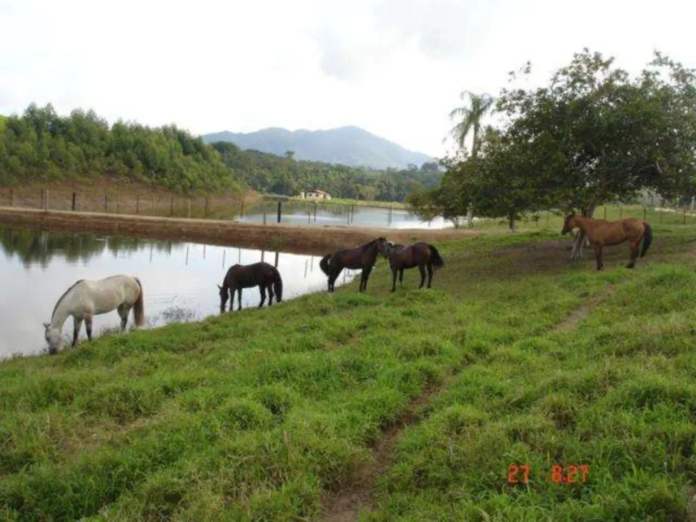 Fazenda, 166 m² - Foto 10