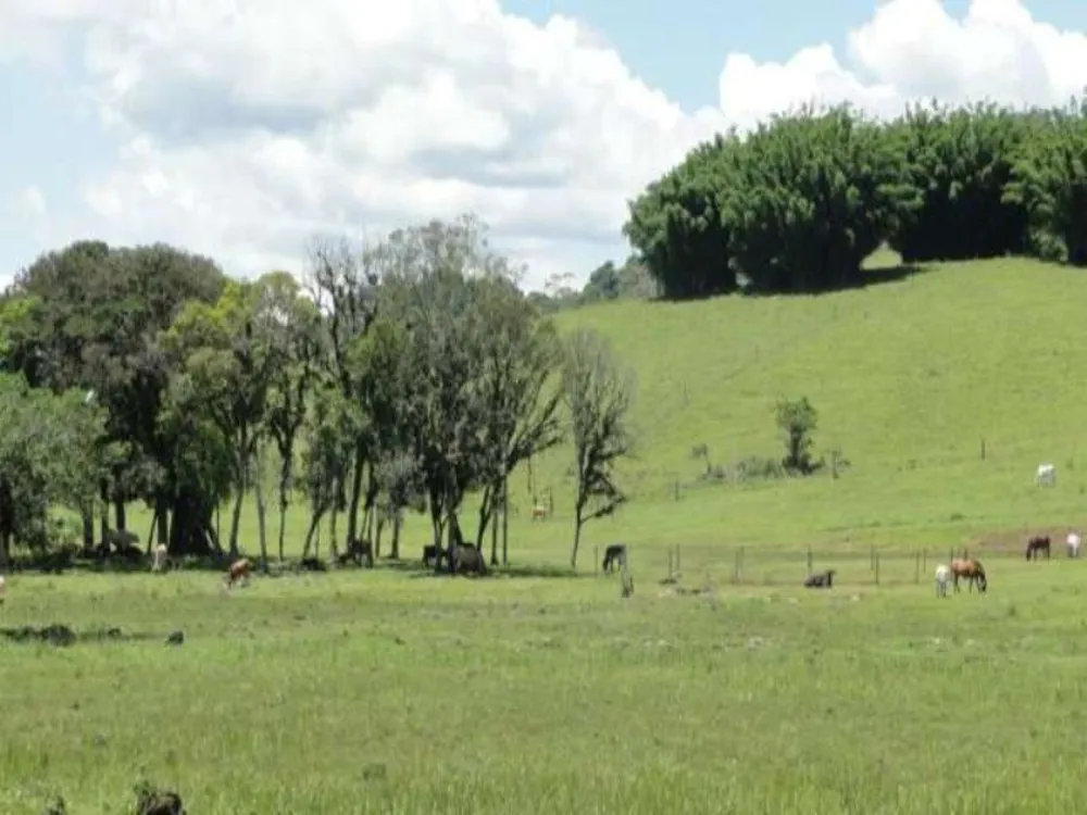 Fazenda, 166 m² - Foto 23