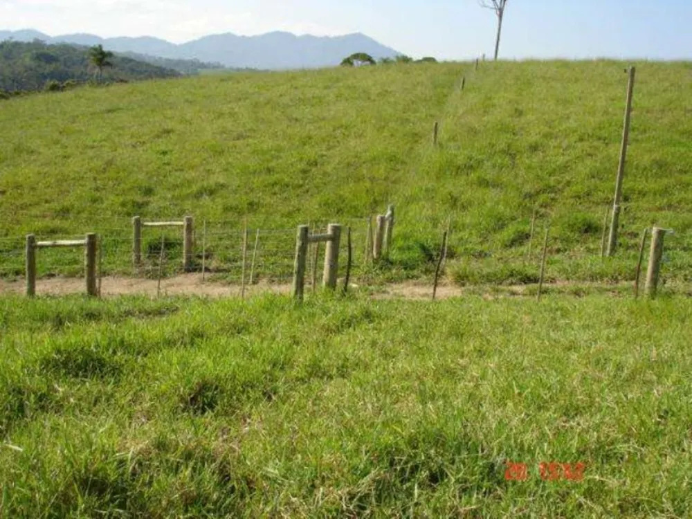 Fazenda, 166 m² - Foto 6