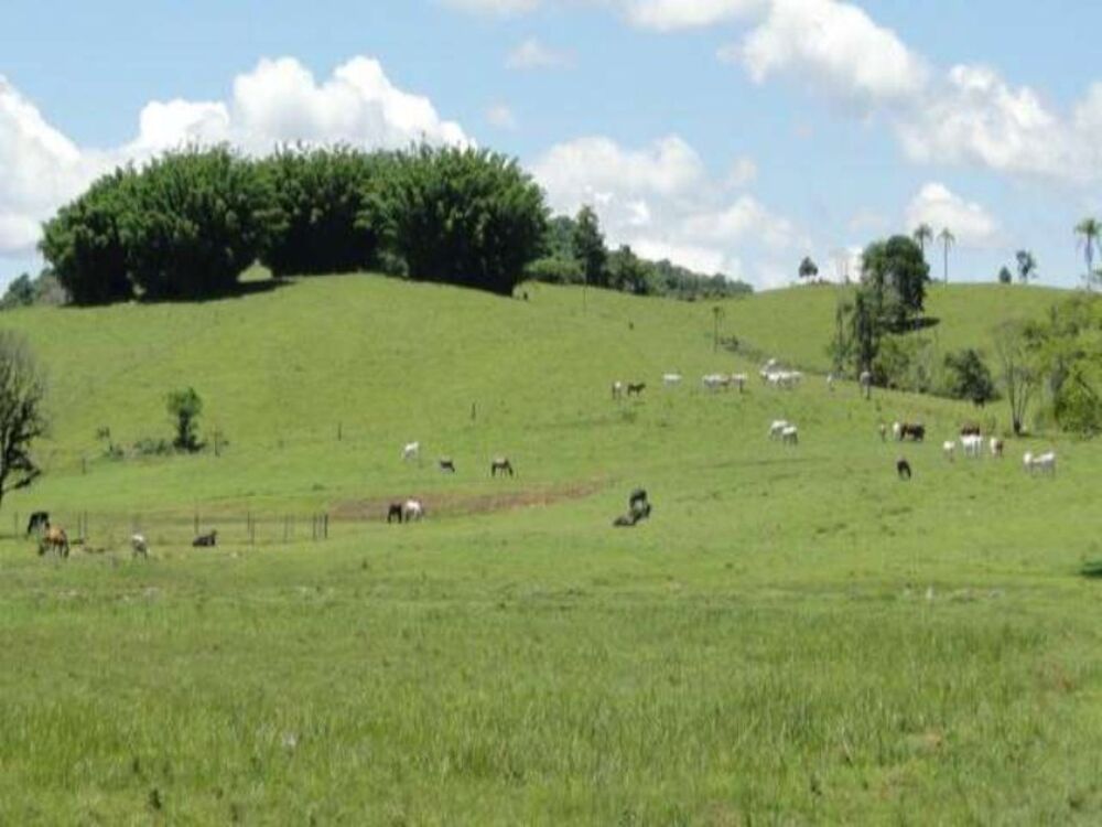 Fazenda-Sítio-Chácara, 166 m² - Foto 11