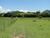 Fazenda-Sítio-Chácara, 166 m² - Foto 9