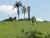 Fazenda, 166 m² - Foto 5