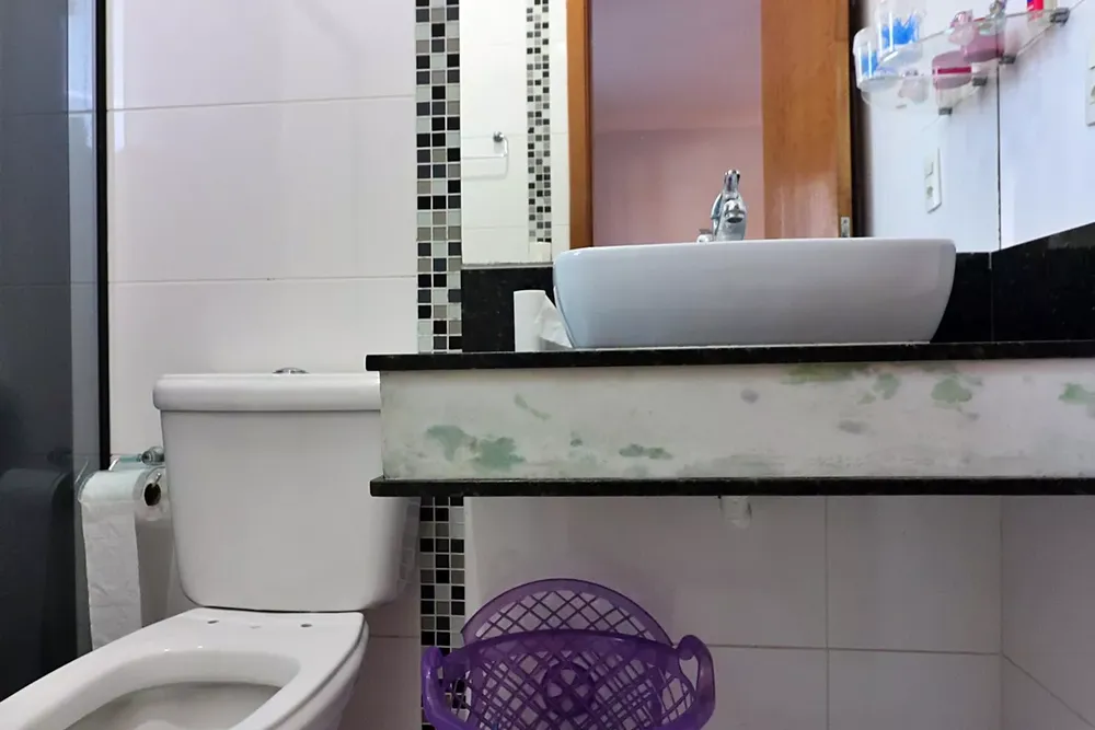 Casa, 3 quartos, 300 m² - Foto 6