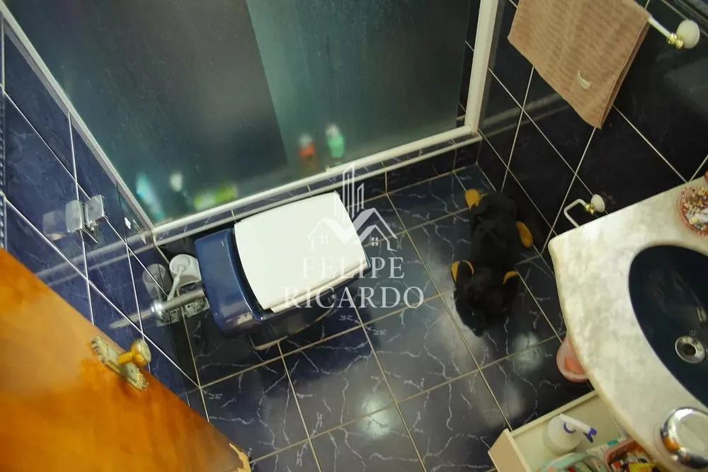 Casa, 3 quartos, 250 m² - Foto 9