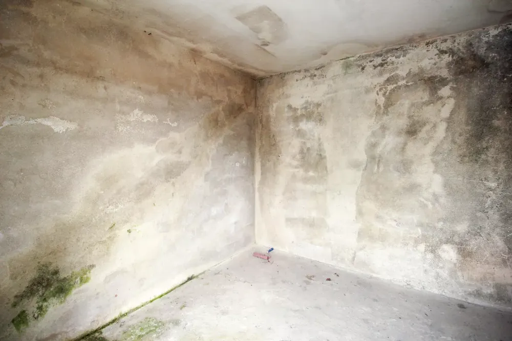 Casa, 3 quartos, 100 m² - Foto 2