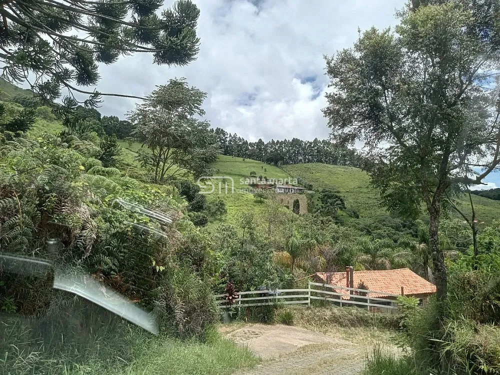 Fazenda, 62 hectares - Foto 7