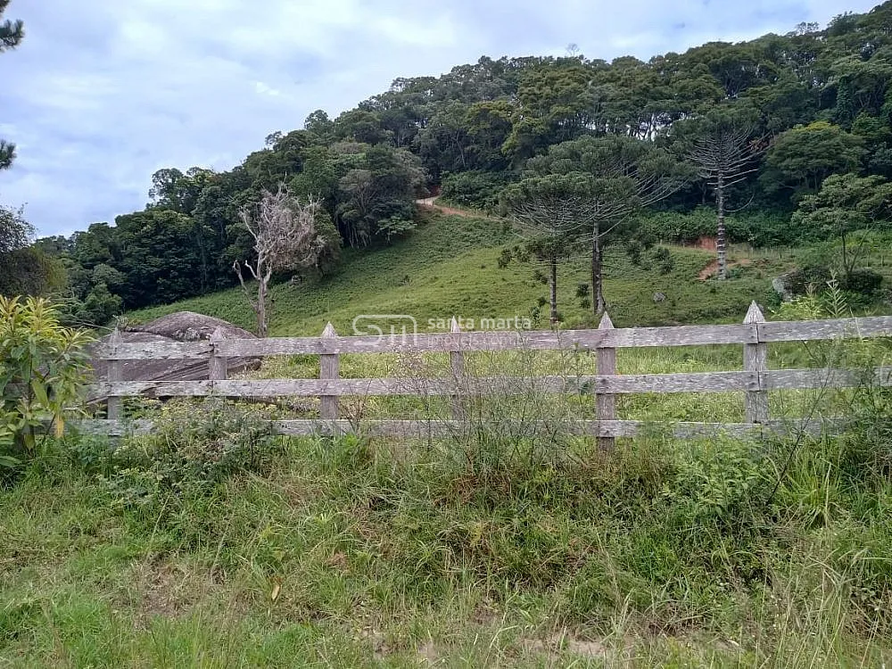 Fazenda, 62 hectares - Foto 3