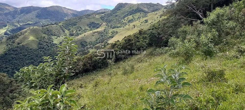 Fazenda, 62 hectares - Foto 11