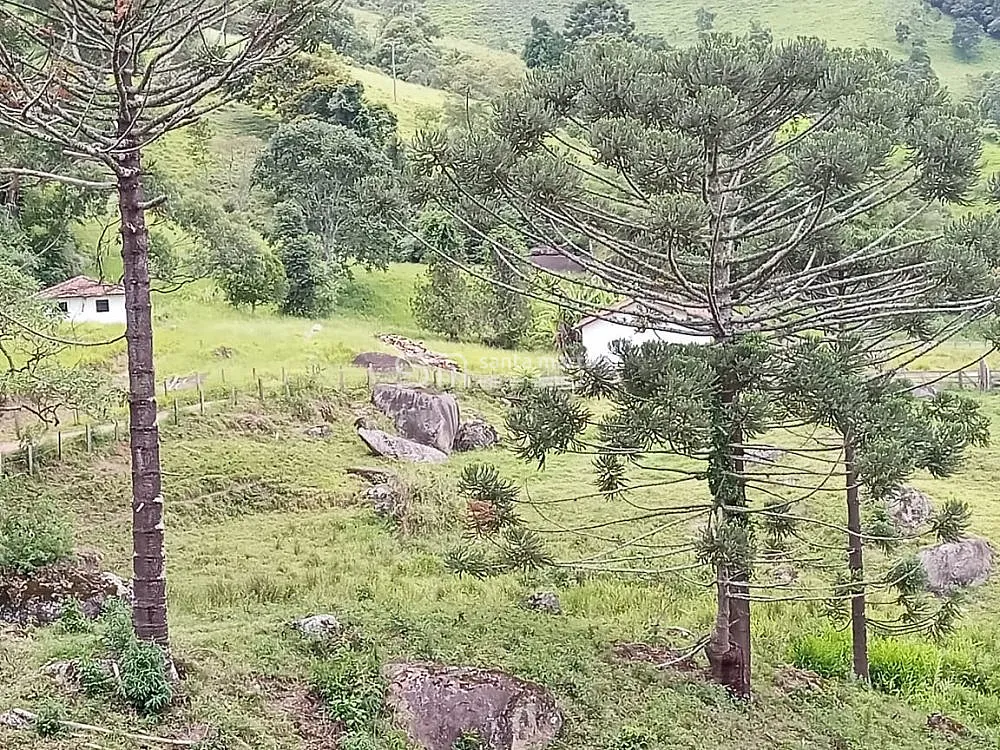 Fazenda, 62 hectares - Foto 1