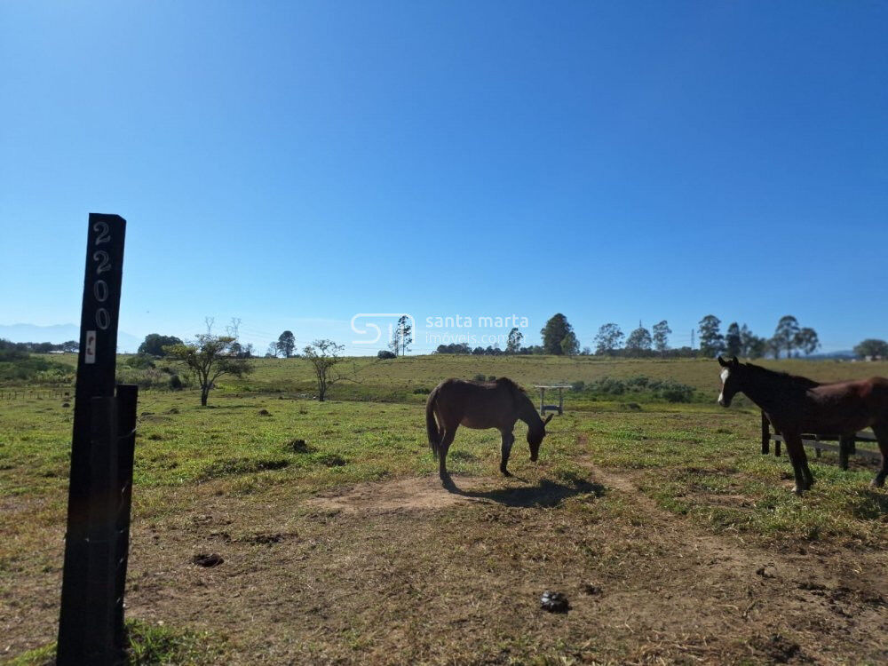 Terreno à venda, 300m² - Foto 3