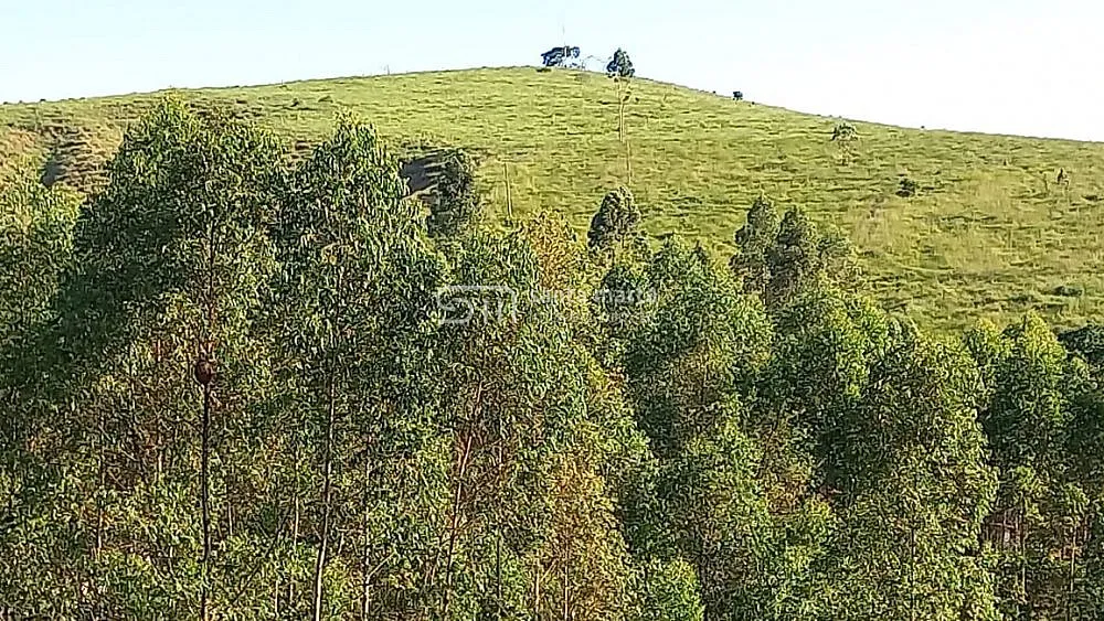 Sítio, 2 quartos, 27 hectares - Foto 4