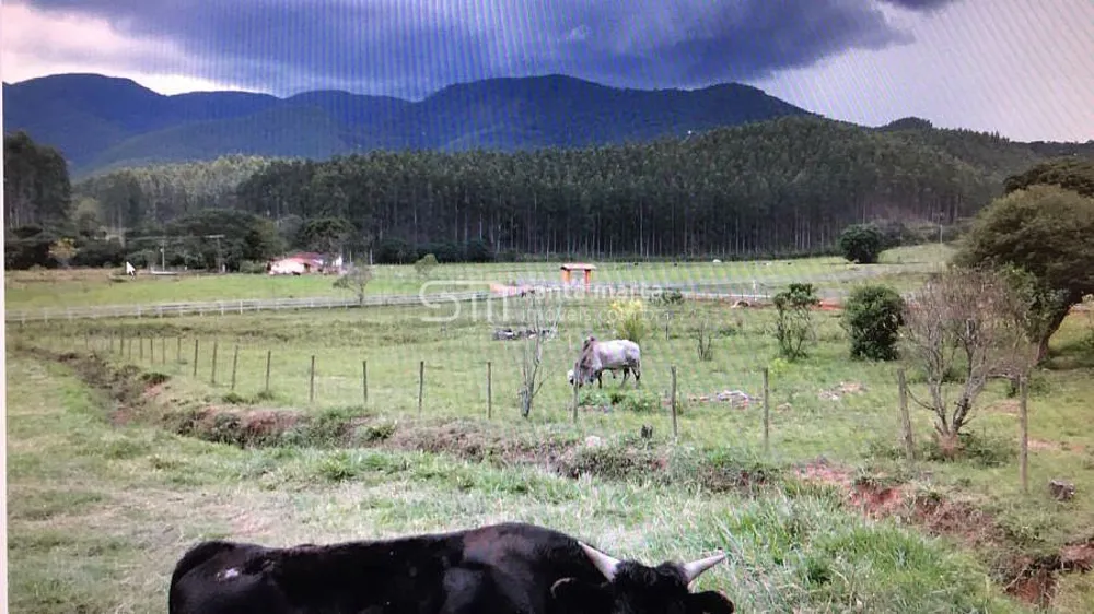 Fazenda, 97 hectares - Foto 4