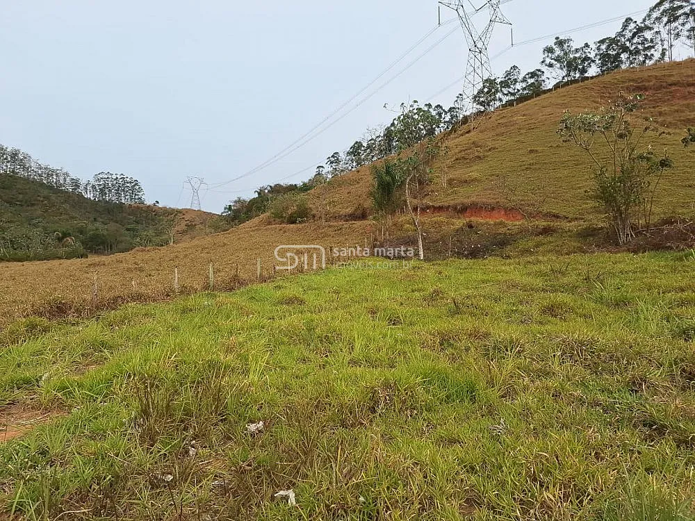 Fazenda, 86 hectares - Foto 4
