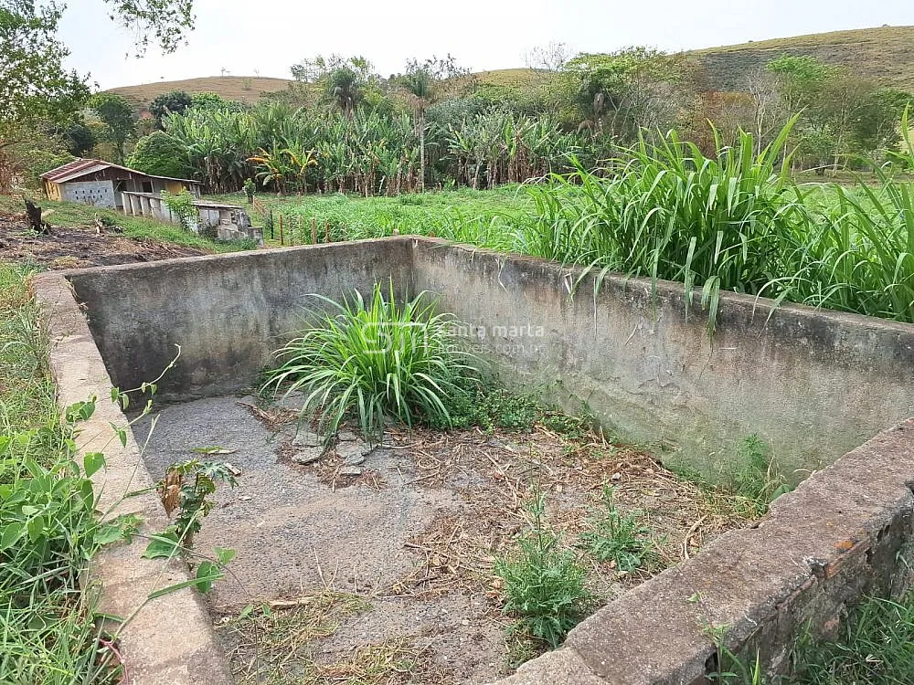 Fazenda, 86 hectares - Foto 4
