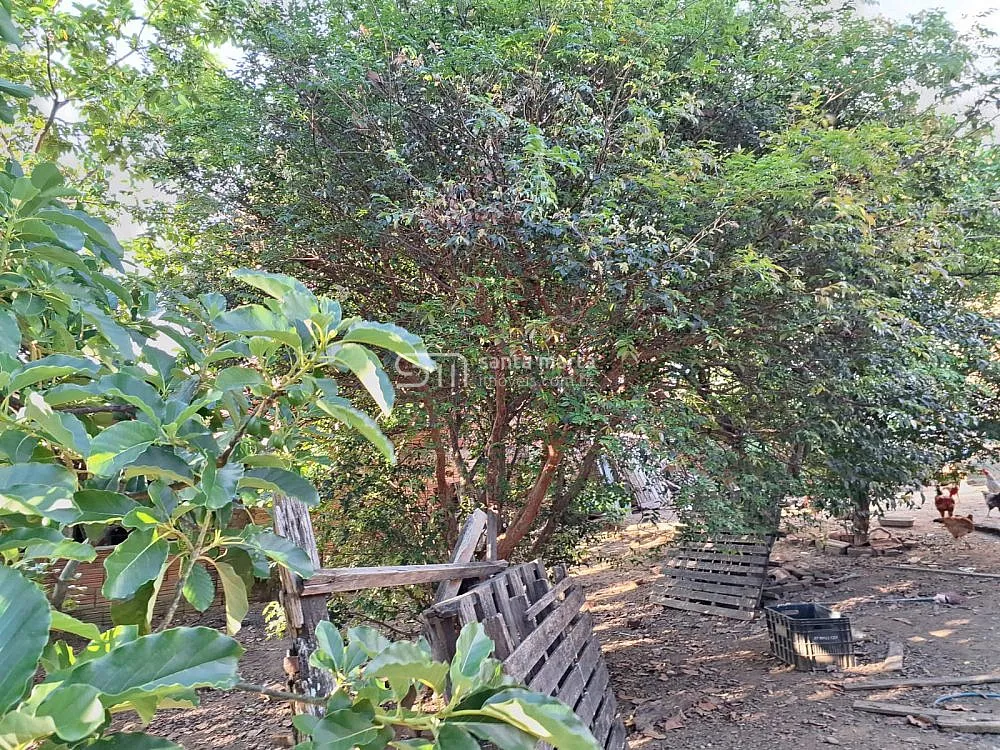 Casa, 2 quartos, 405 m² - Foto 10