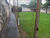 Terreno, 125 m² - Foto 8