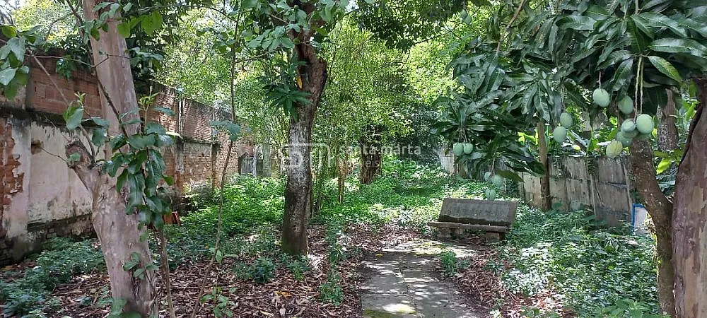 Casa, 1 quarto, 17 m² - Foto 3