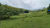 Sítio, 2 quartos, 67 hectares - Foto 4